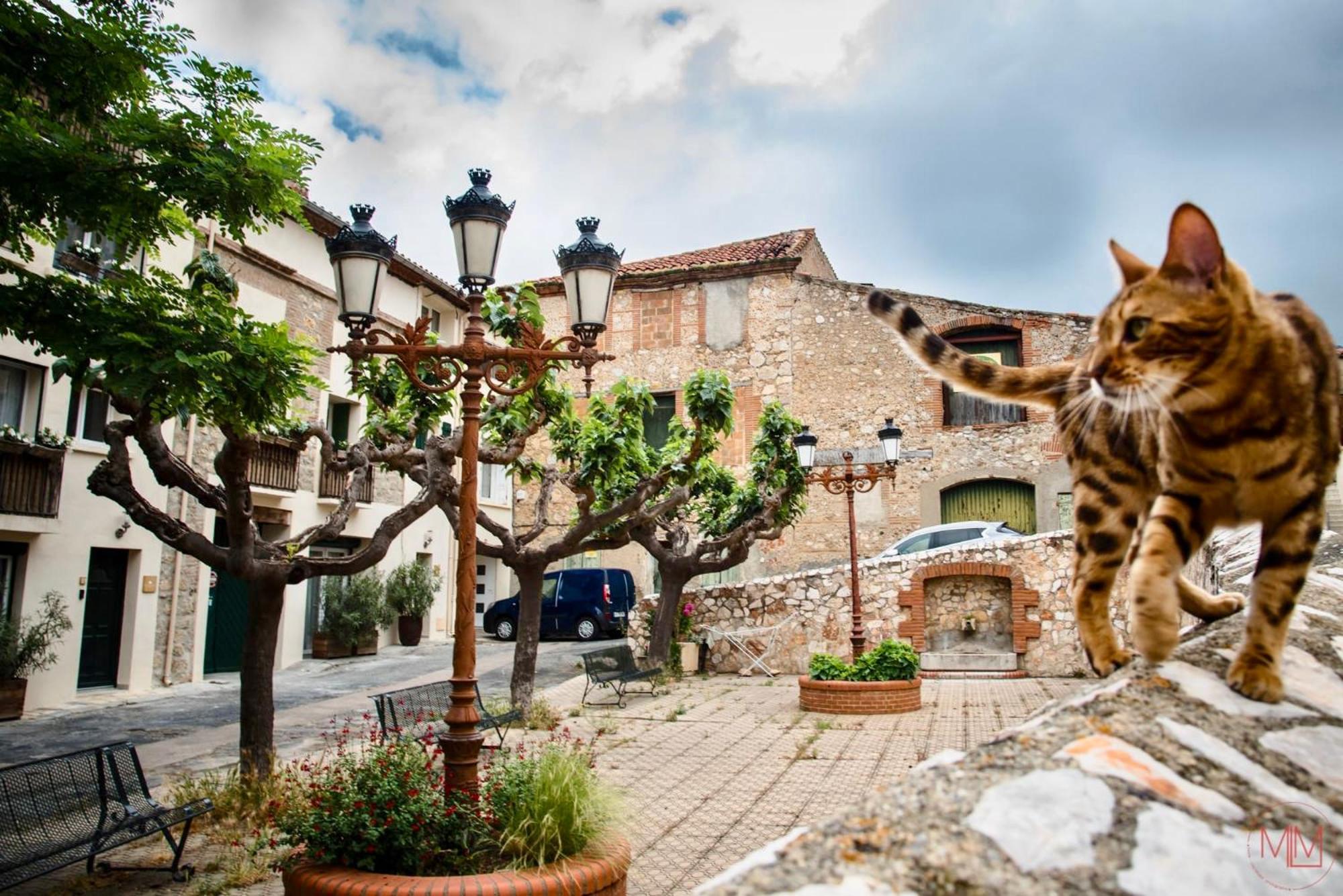 Origines Hotel Tautavel Exterior photo